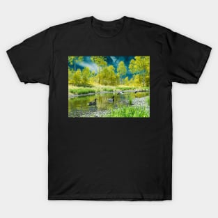 Mallard ducks in the lake T-Shirt